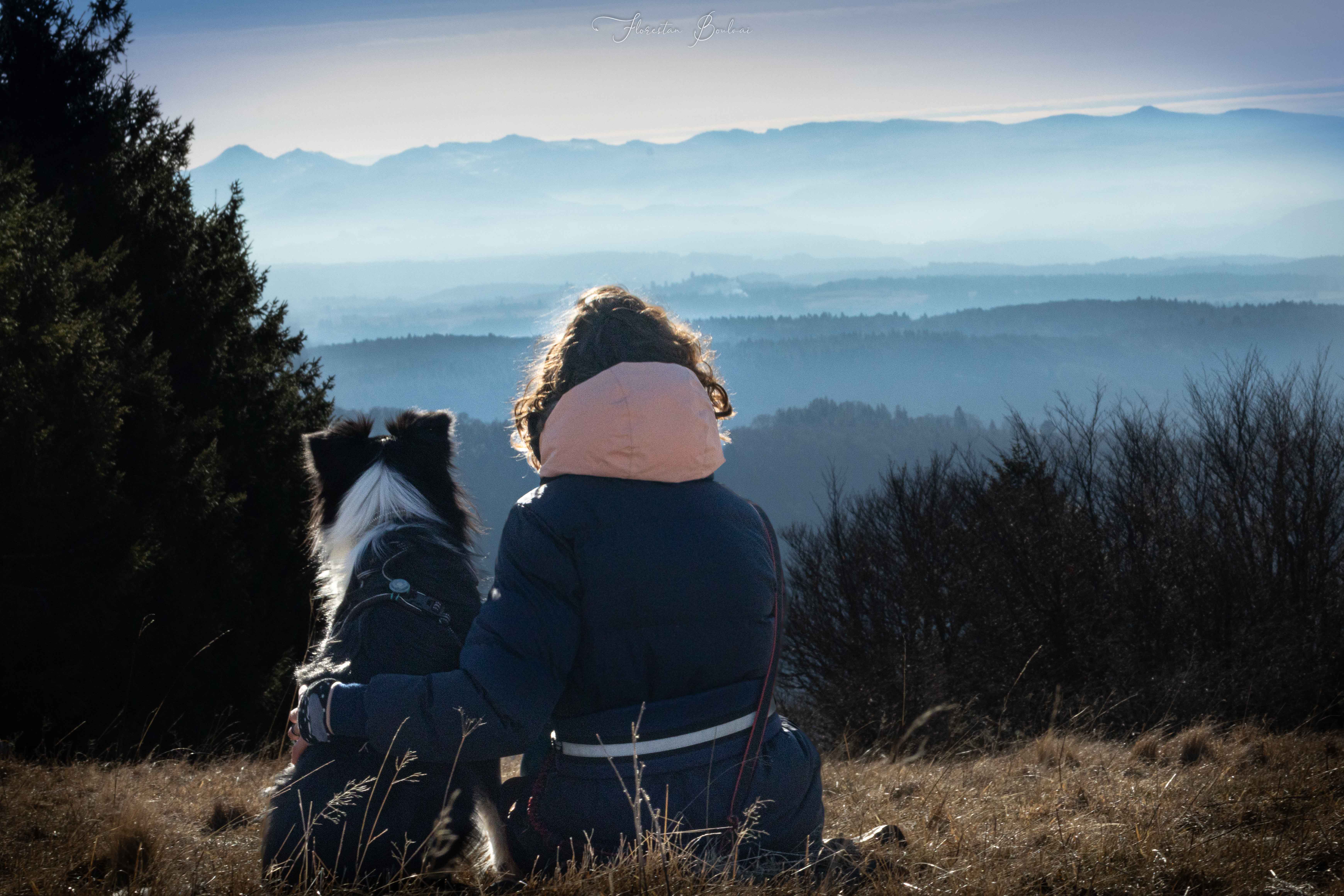 Éducateur canin : 7 critères (et 6 red flags) pour ne pas se tromper
