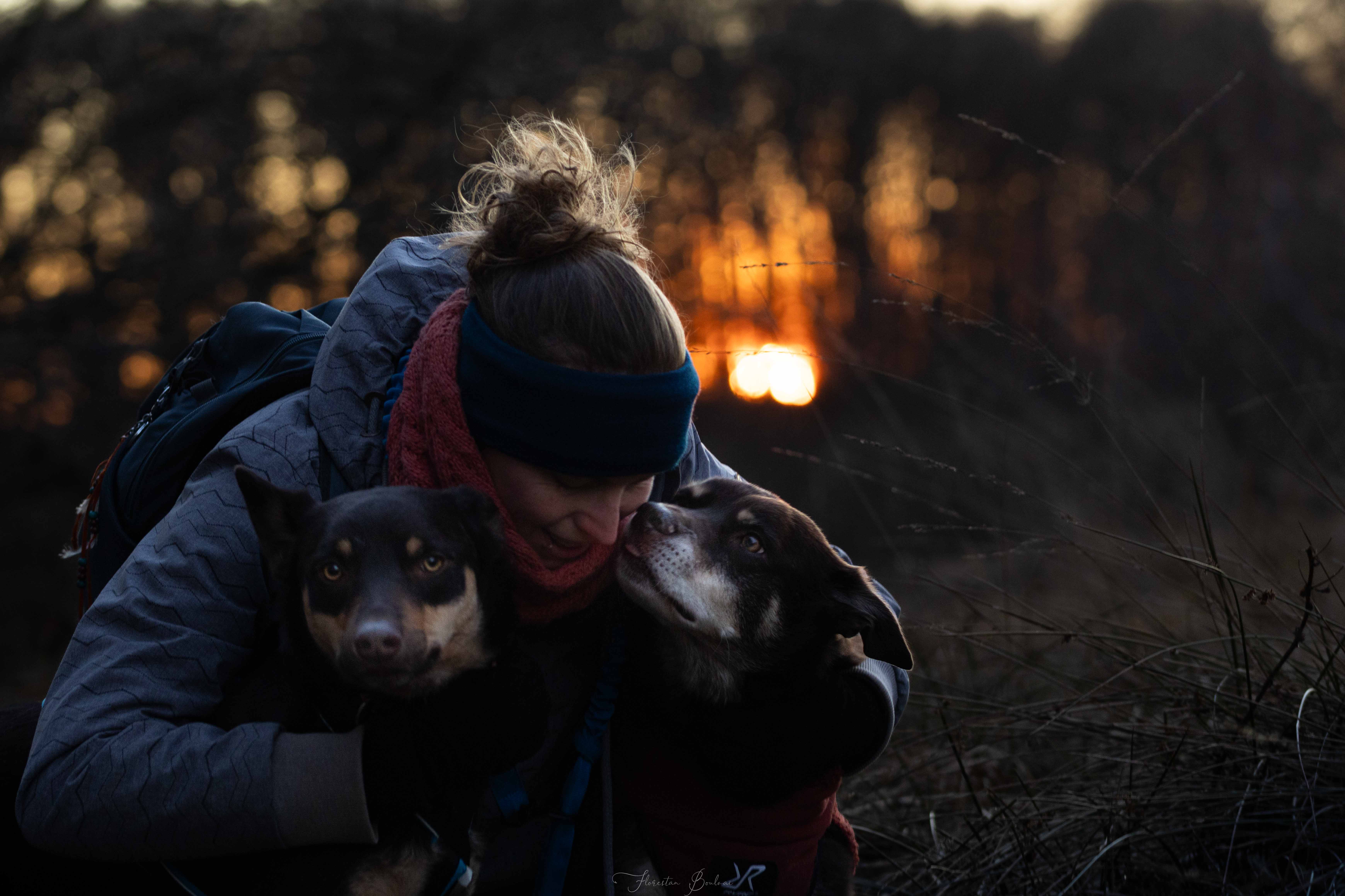 Label Truffe : la plateforme pour trouver un éducateur canin ou un professionnel animalier certifié en France
