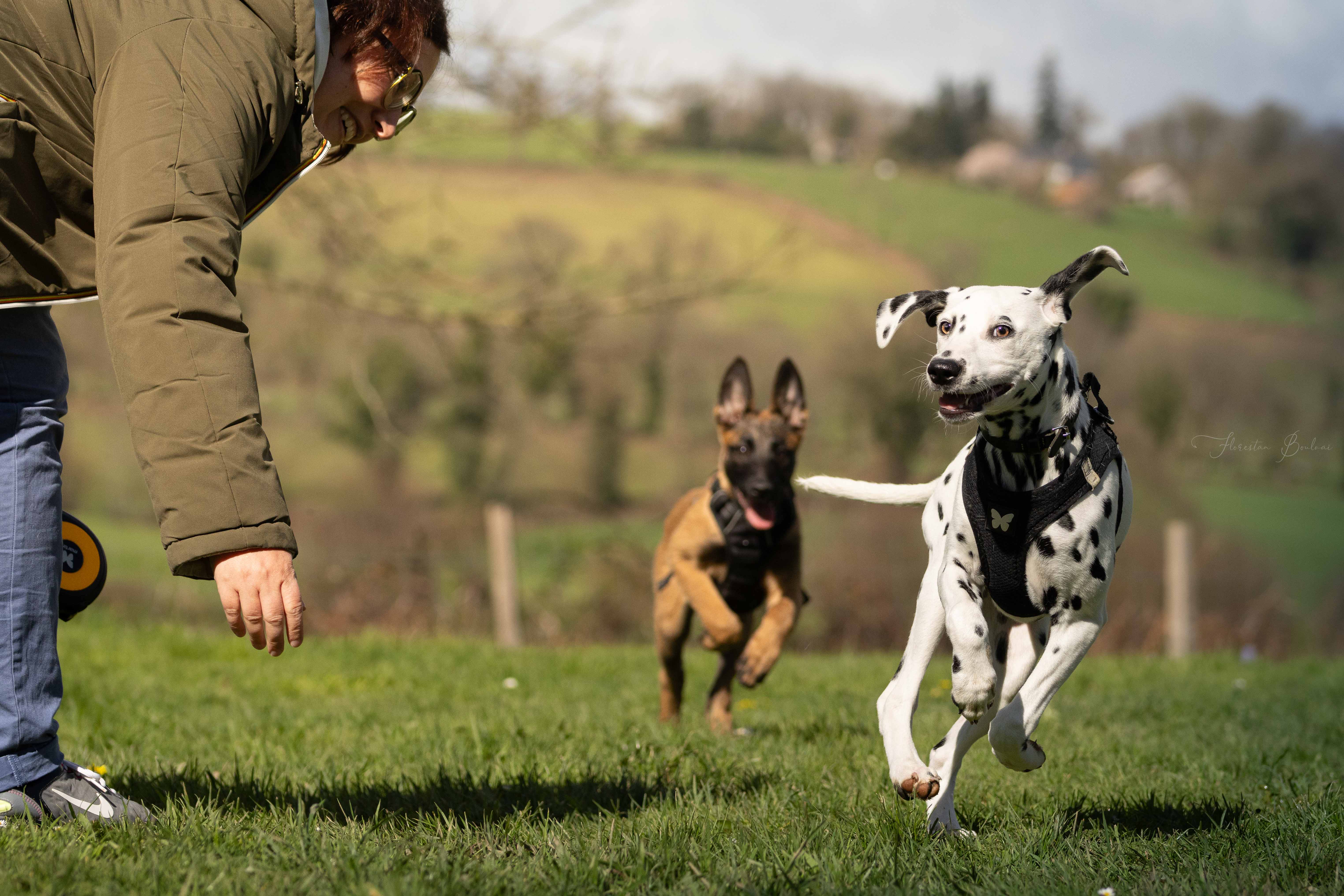 Photo 2 — Emilie Crolard - Auranimalis