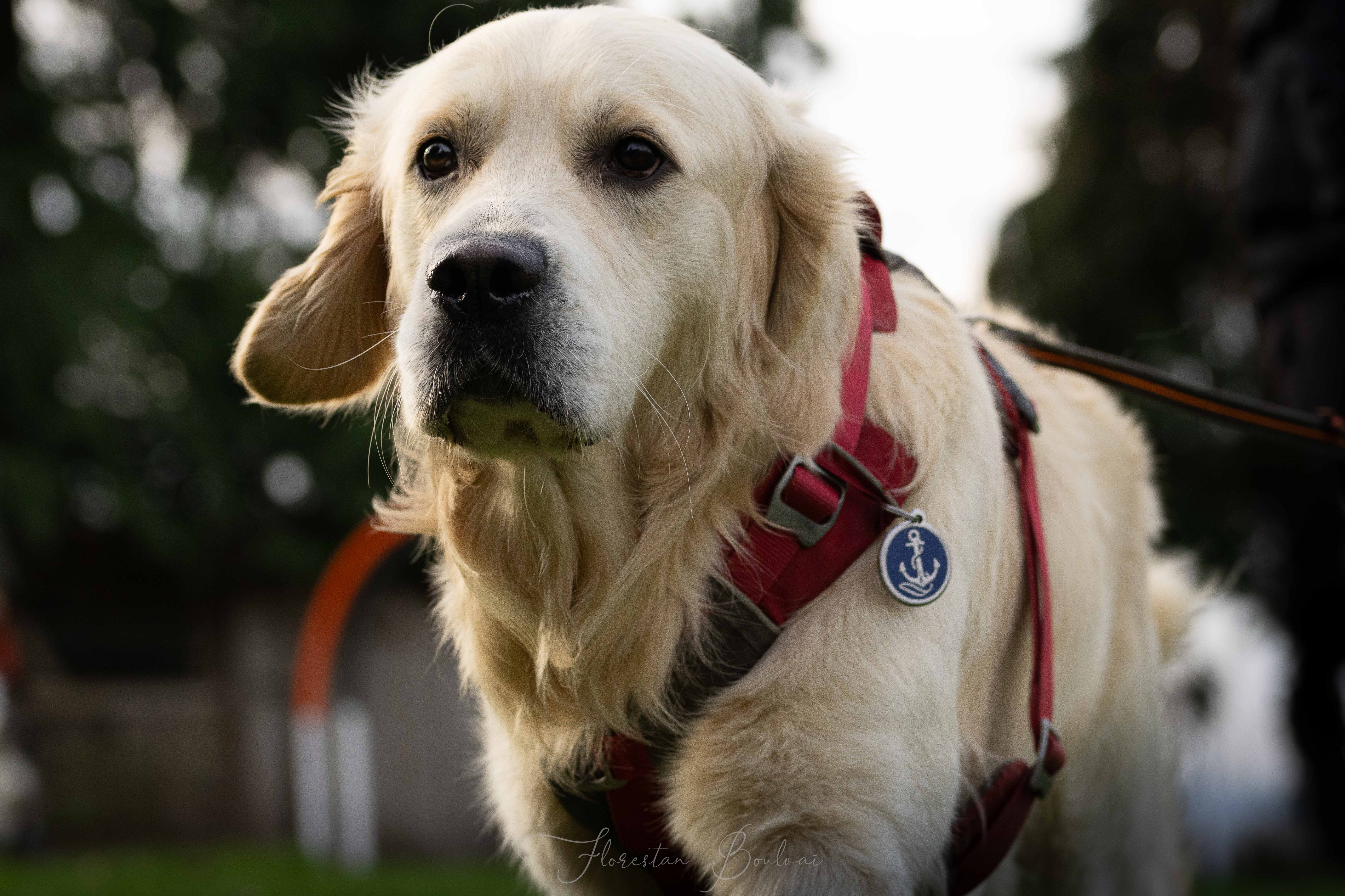 Photo 3 — Emilie Crolard - Auranimalis