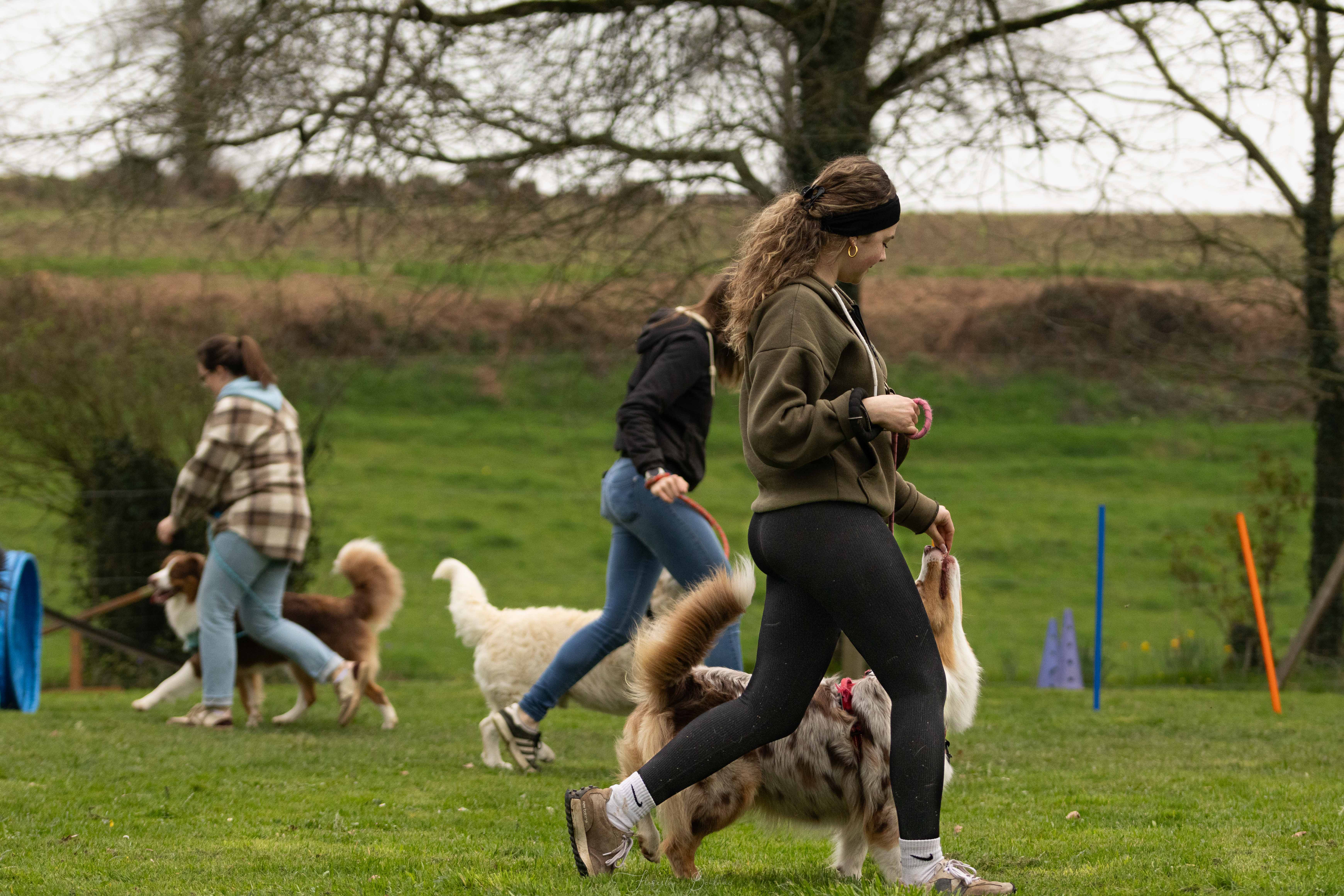 Photo 6 — Emilie Crolard - Auranimalis